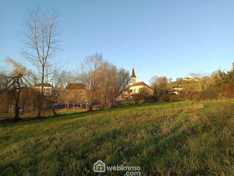 photo no. 1
