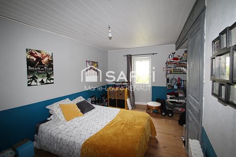 photo no. 8