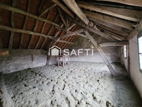 photo no. 12