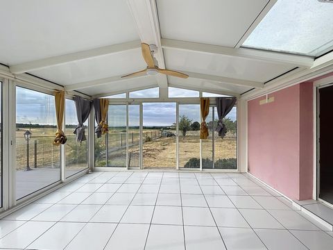 photo no. 10