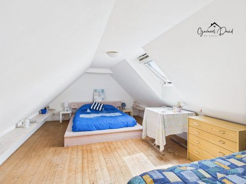 photo no. 12