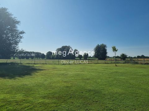photo no. 15