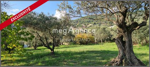 TERRAIN CONSTRUCTIBLE A MANOSQUE