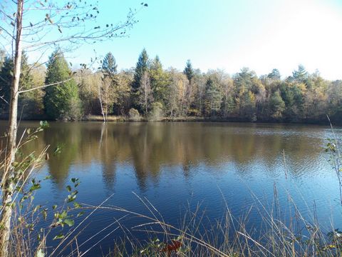 Étang de pêche dans un environnement paisible