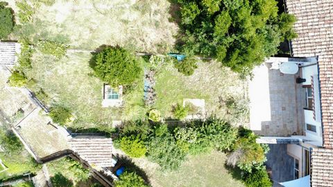photo no. 14
