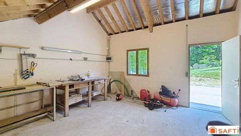 photo no. 17