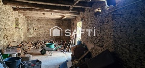 photo no. 15