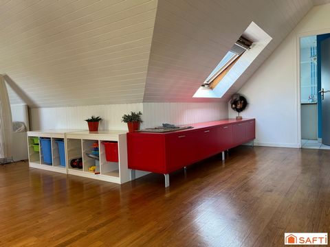 photo no. 14