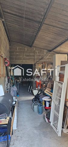 photo no. 15