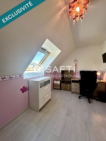 photo no. 11