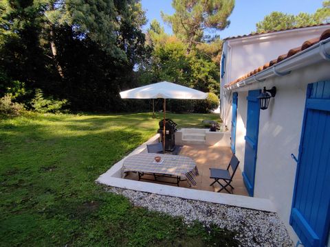 photo no. 13