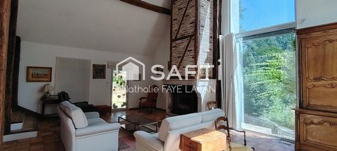 photo no. 13