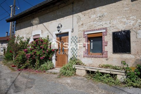 photo no. 14