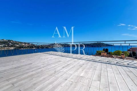 photo no. 6
