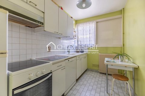 photo no. 6