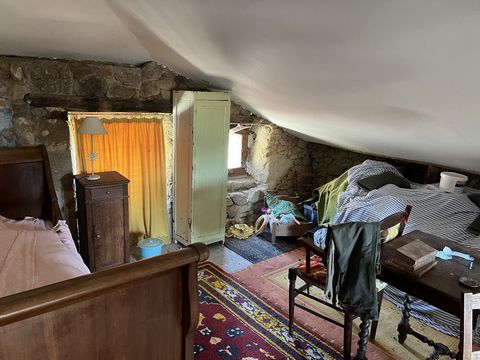 photo no. 6