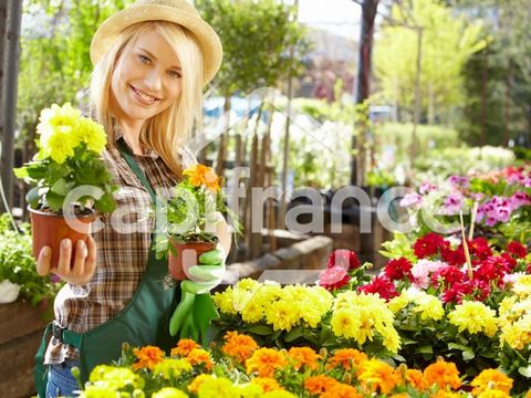Dpt Orne (61), à vendre Secteur d'ARGENTAN Fonds de commerce Magasin de Fleurs et décorations florales