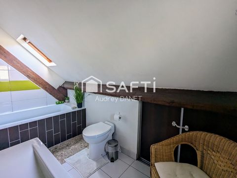 photo no. 10
