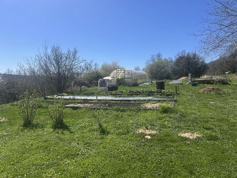 photo no. 19