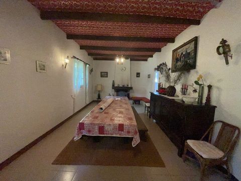 photo no. 13