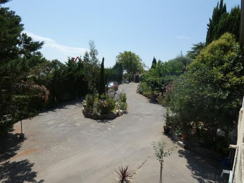photo no. 2