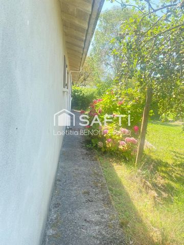 photo no. 14