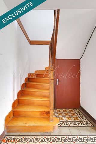 photo no. 7