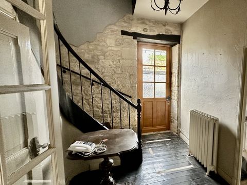 photo no. 16