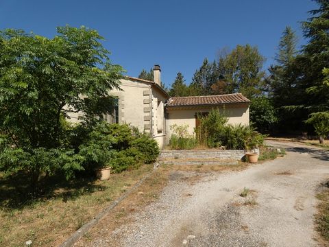 photo no. 2