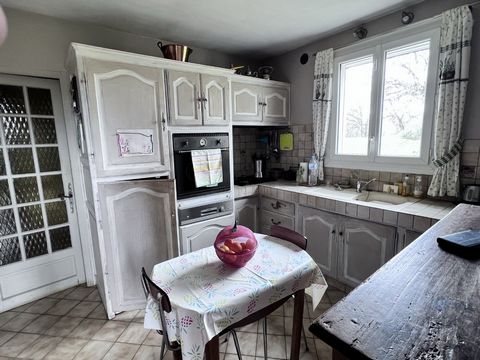 photo no. 15