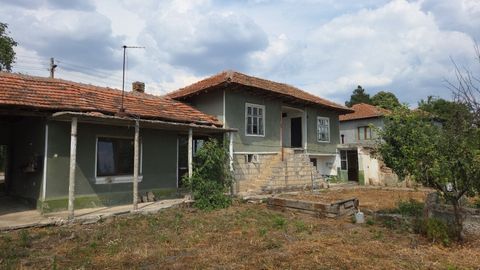 Stenen huis met twee verdiepingen en een tuin van 1800 m² in het dorp Krivnya, gemeente Provadia. Het pand heeft een stenen huis met twee verdiepingen, bijgebouwen en veel fruitbomen. De woning is voorzien van elektriciteit, water en heeft een geregi...