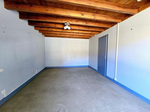 photo no. 6