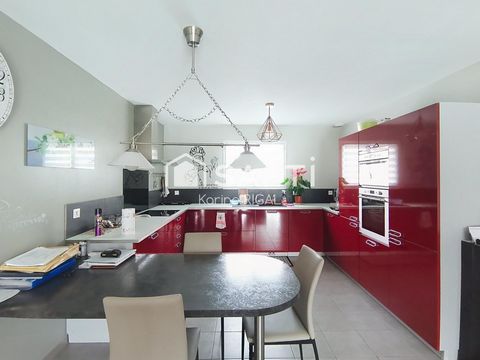 photo no. 6