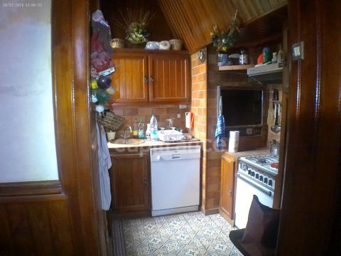 photo no. 2