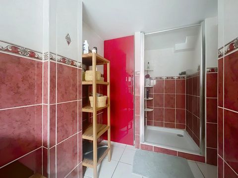 photo no. 7