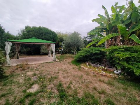 photo no. 7