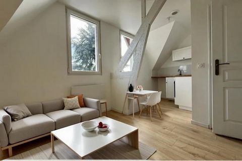 photo no. 11