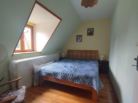 photo no. 8