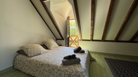 photo no. 11