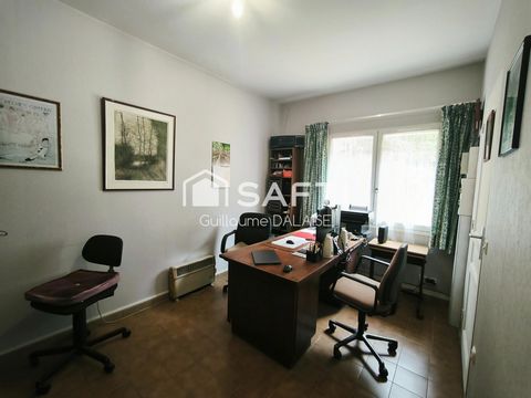 photo no. 8