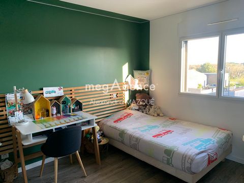 photo no. 15