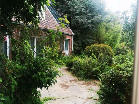 photo no. 1