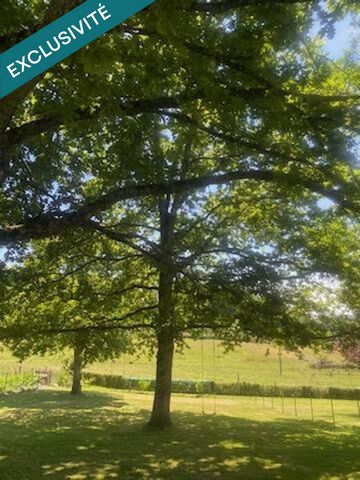 photo no. 11
