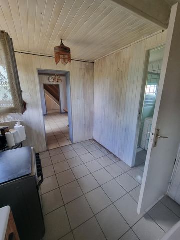 photo no. 12