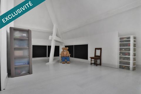 photo no. 11