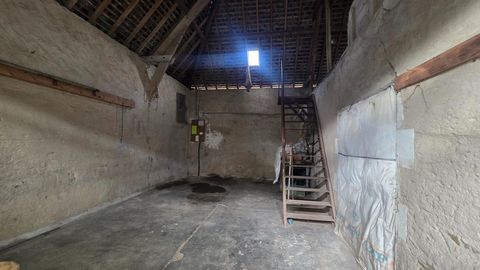 photo no. 8
