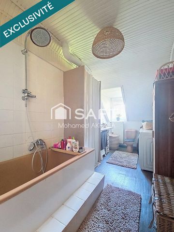 photo no. 10