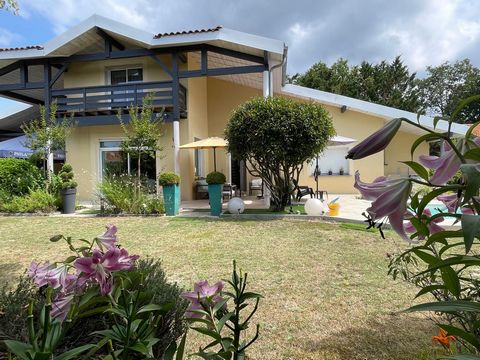 Centre ville, magnifique villa d'architecte T6, garage 50 m², grand terrain, piscine