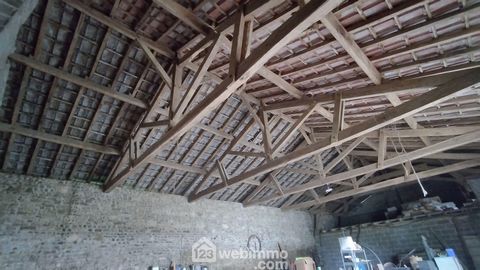photo no. 13