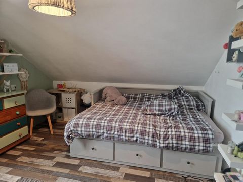 photo no. 8